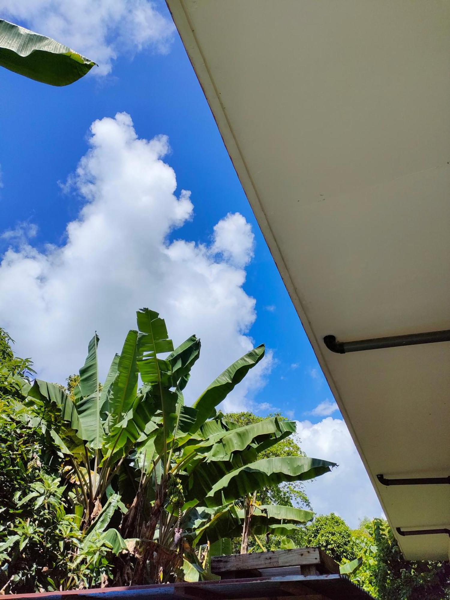 Garden Palace Downtown Koror village Exterior foto