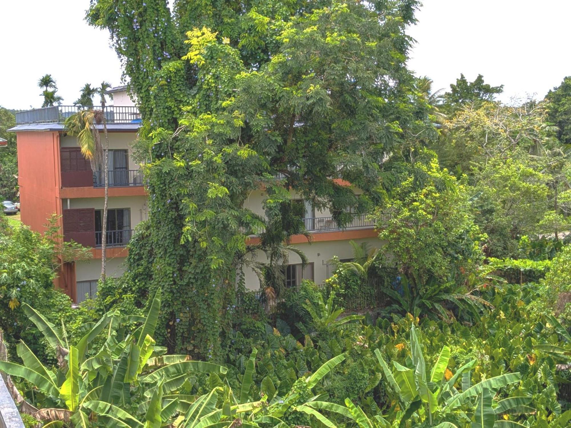 Garden Palace Downtown Koror village Exterior foto